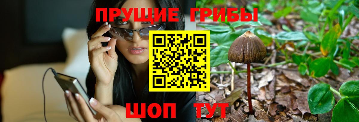 Галлюциногенные грибы MAGIC MUSHROOMS  Галлюциногенные грибы Psilocybe  Вход с VPN  Красноармейск 