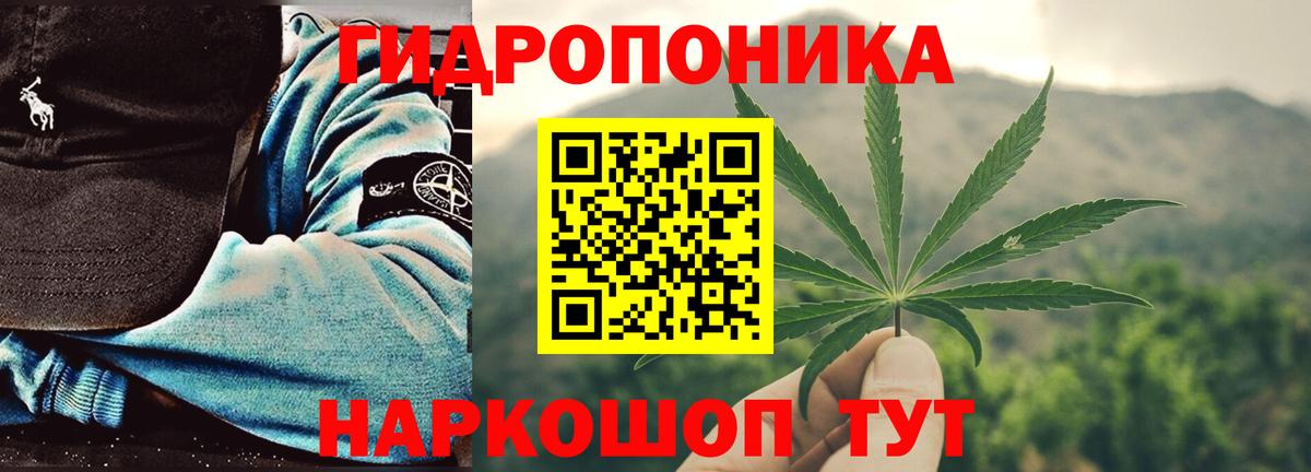Бошки Шишки план  Каннабис LSD WEED  МАРИХУАНА план  Красноармейск  Каннабис Ganja 